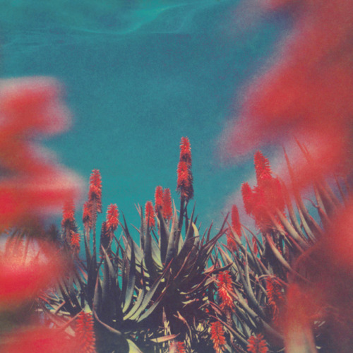 Porn photo mashamorevna: by Neil Krug