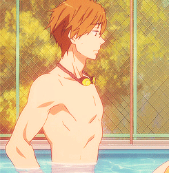 hideyoxi-blog:  ლ(´ڡ`ლ) 