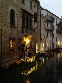 tryagainpersonal: We walking on the street and I admire  this Mistery fairy backside of the one antiquarian shop in Treviso !     (Treviso,Italy)    By V.V. 