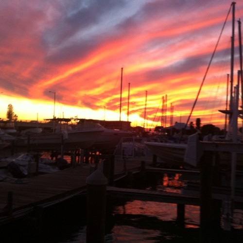 From earlier #sunset #florida #stpete #pretty porn pictures