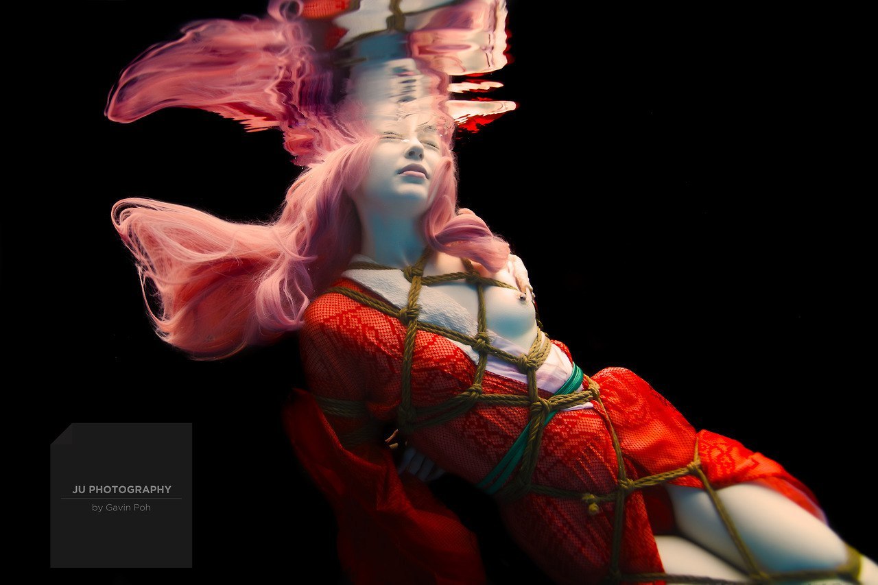 Art of Shibari