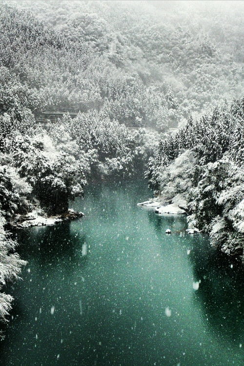 disminucion:Okutama snow scene | Daisuke tashiro