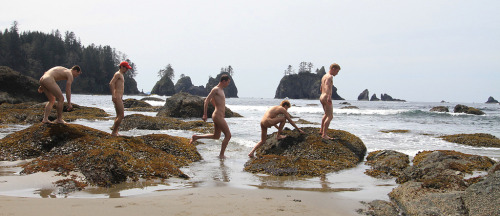 scenicboys:  ScenicBoys @ Shi Shi Beach, WA 