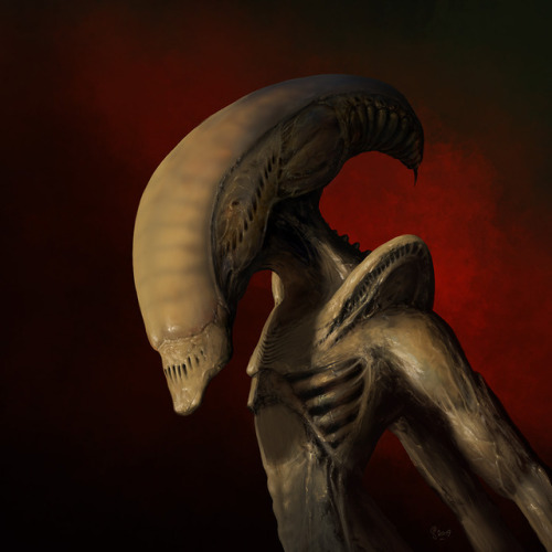 xenomorph