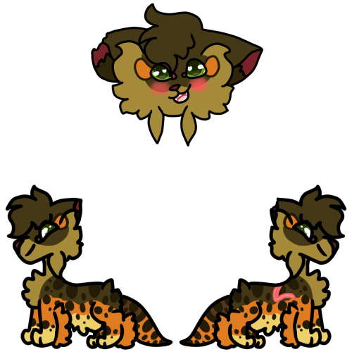 Warning!!! Eye Injury, Scars, Blood, And Death!