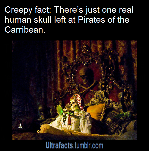 totallynotagentphilcoulson:  ultrafacts:  10 Things You Probably Didn’t Know About Disney Parks More facts on Ultrafacts!  Wait there was a time when there was MORE that one real skull on the PotC ride? 