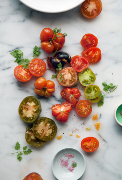 artpixie:  Florida tomatoes (by cannelle-vanille)