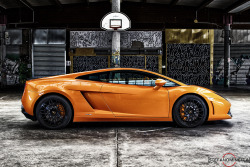 automotivated:  Lamborghini Gallardo LP 550-2 Bicolore - Side Bleach (by Stefano.Minella)