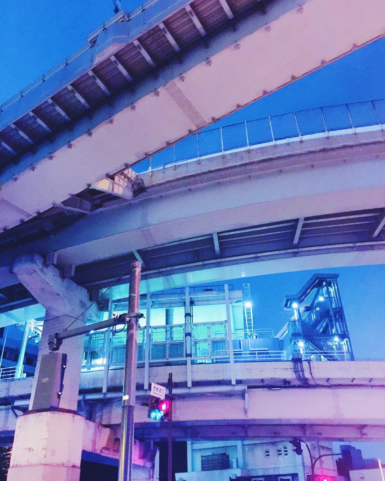 turnt-shoujo:  i’m in tokyo right now (´ε｀ )♡