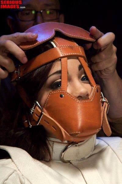 gagged4life:  Protip: You really need to put on blindfolds before you put on harness gags or muzzles. It’s going to be way too easy for this damsel to peek around that blindfold because the muzzle straps will make it impossible for the blindfold to