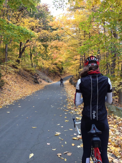 taylerraedube: Some pics from the Rapha Women’s Ride today. 