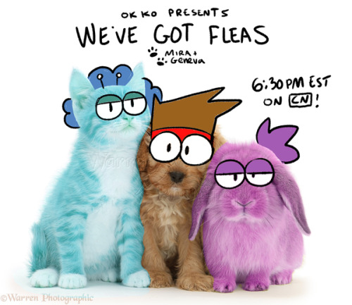 cartoonfuntime:New ep of OK KO written/boarded by me and @miraongchua​: WE’VE GOT FLEAS!!!&nbs