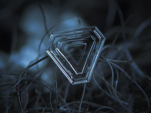 stfumadison:  Extreme Close-up Photography of Snow Flakes by  ChaoticMind75 