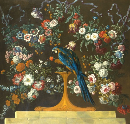 clawmarks: Peter Casteels III - A blue and gold macaw on a perch, with flower garlands - before 1749