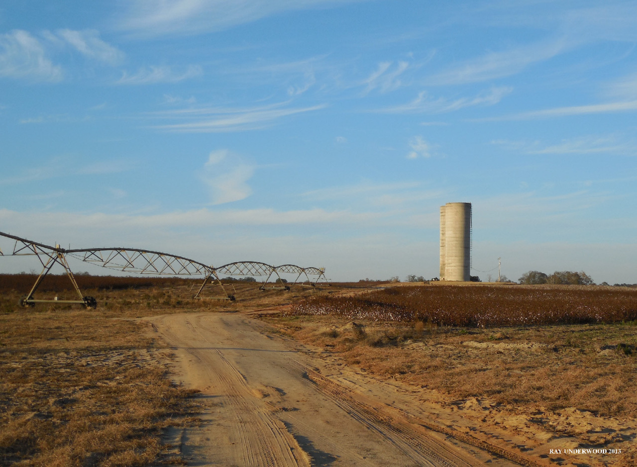 Farm Land, Crisp County, Georgia