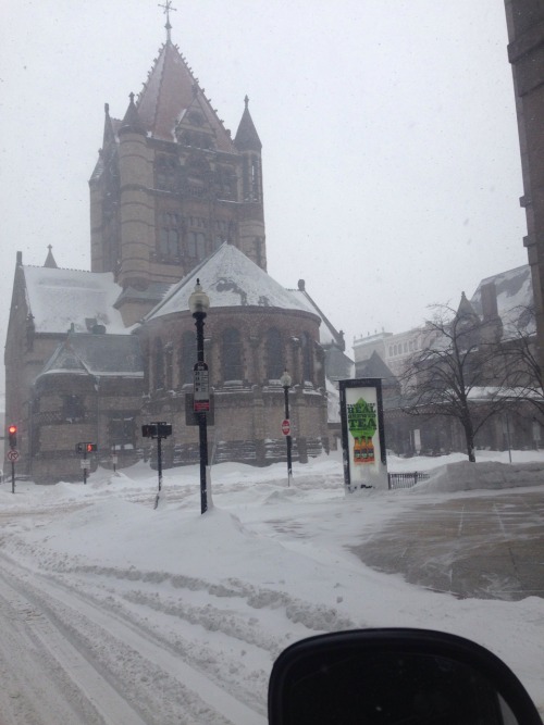 neornithes:  Copley Square, 2/9/15