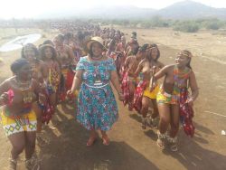   South African Zulu Reed Dancers, Via Indoni.  