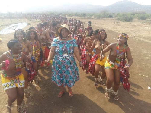   South African Zulu reed dancers, via Indoni.  