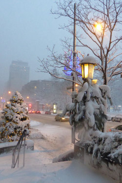plasmatics-life:  A Snowy Day in Montreal ~ By Anng48 