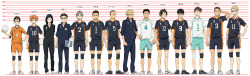 multimediaotakugal:  Haikyuu!! Height Chart [ source ] 