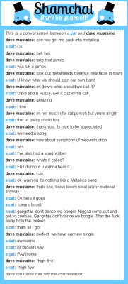 jameshetfieldsbutt:  &ldquo;a conversation between dave mustaine and a cat&rdquo; need i say more