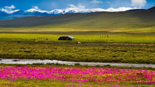 near Litang, Sichaun.