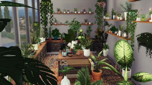 TS4 Plant NurseryThe other day I dreamed of owning such a space IRL. Had to build it in The Sims 4, 