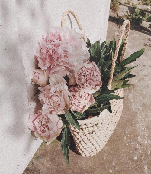 like-fairy-tales: By: Tonchik | tonchik