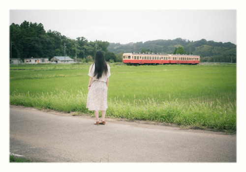  title: 稲穂薫る風が吹く。(The wind blows which smells of rice.) model:麻宮もころ(Mocoro Mamiya)twitter:@mocro_mam