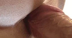 https://64.media.tumblr.com/2f447a4b8ed5f746f3d10ef2887bfba1/tumblr_oaedkkLUnf1v04i6mo1_500.gif
