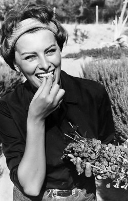 deshistoiresdemode:  Sophia Loren in St Tropez _ Photo by Jack Garofalo, September 1958. 