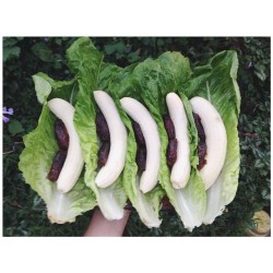 Breakfast 👌 {banana date lettuce wraps} 🍃✨
