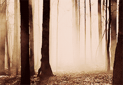  I want to feel powerful.     Allison bby