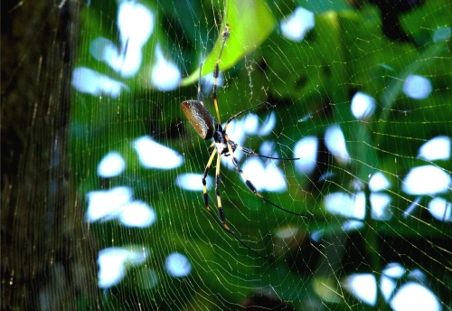 Some of my favourite shots from the 4th annual Tropical Radiance Retreat held this passed March at A