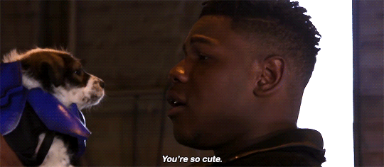 keery-joseph:  Pacific Rim Puprising ft. John Boyega and PUPPIES  