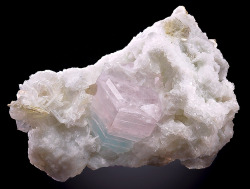 ggeology:    Aqua-Morganite and Aquamarine tucked atop Albite and Muscovite //  Laghman Province (Nuristan), Afghanistan  