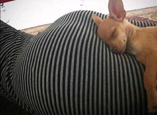 COMO EU QUERIA ESTAR