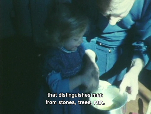 lostinpersona:As I Was Moving Ahead Occasionally I Saw Brief Glimpses of Beauty, Jonas Mekas (2000)
