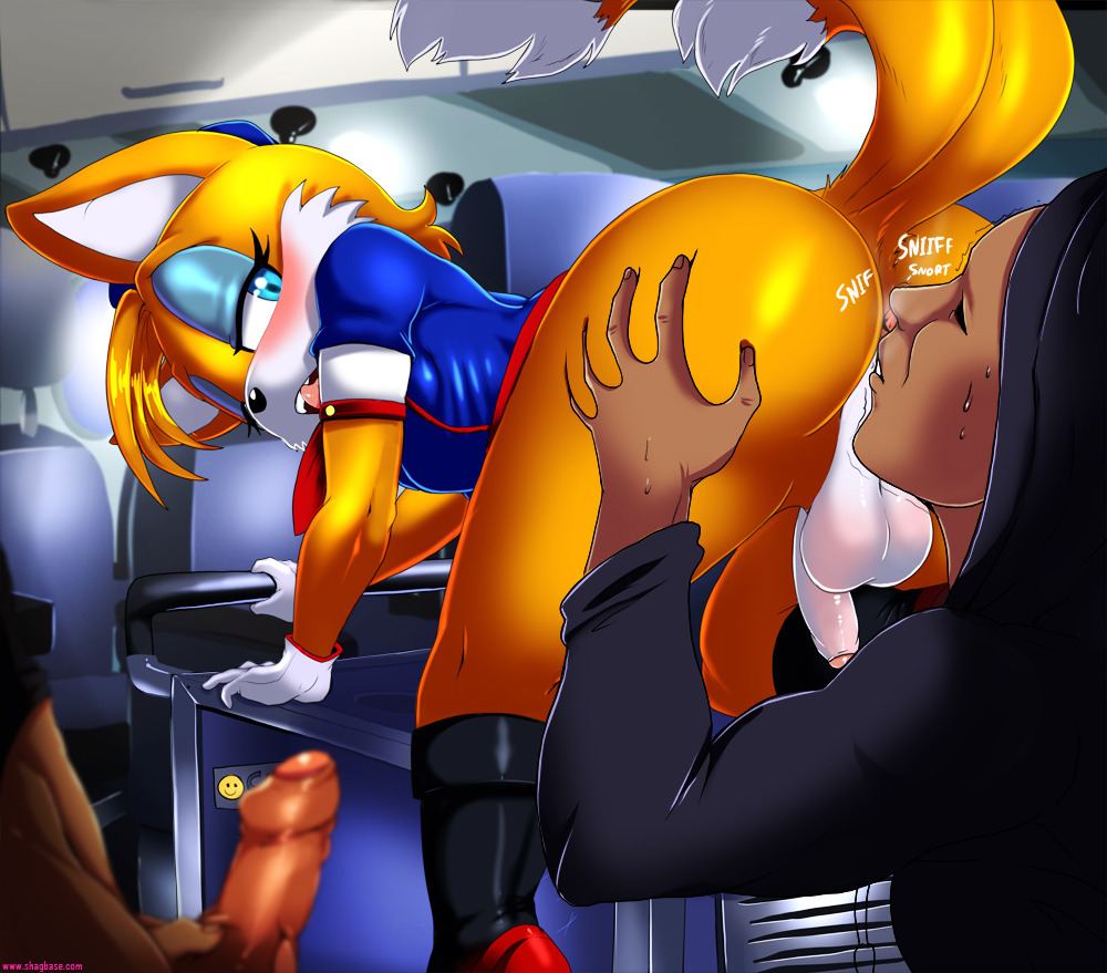 spazkidin3d:  :WARNING LEWD: Variations of the tails stewardess thing I did a little