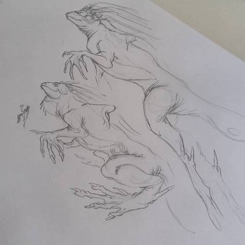 feradami:  Lúcio dragon sketch study ~  #lúciooverwatch #luciooverwatch #overwatchart #overwatch #sketch #sketchpencil #dragon #draw #drawing #fanart