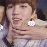 chaootic:  everyone wants to touch these cheeks &gt;3&lt; 