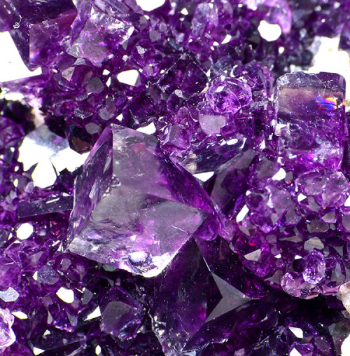 Sex fuckyeahmineralogy:  Fluorite; Okorusu Mine, pictures