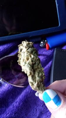 empire420:  2g. nugget found on the road by my mailbox.