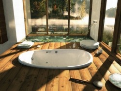 lagomrf:  psychedelic-sunflower: packlesswolf:  sixpenceee: A compilation of some of the most interesting or classiest bathtubs I’ve ever seen. I got the pictures from here and here . Here’s a post about a bathtub cut from a single piece of quartz