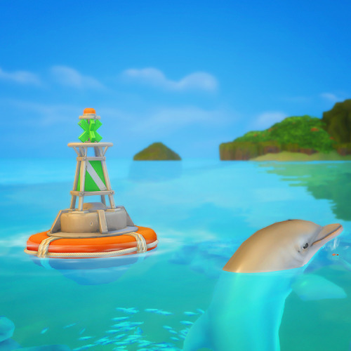 Some Snapshots Of The Islands 
