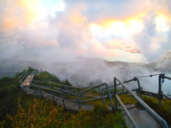 endlesssummers-blog:  Stairway to Heaven~ Oahu, Hawaii 