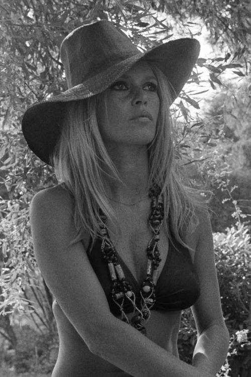 whowhatwear: Brigitte Bardot in Cannes, Elvis in the tropics & more of the inspiration behind Is