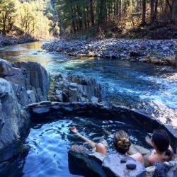 Soakingspirit:  Surfmusictrees We’re On A Hot Springs Hunt Through California And