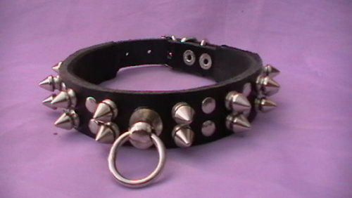 missveeau:  candynymphet:  with it saying bunny please!  OOOOOOOERRRR The pink one!! “PRINCESS” please :D