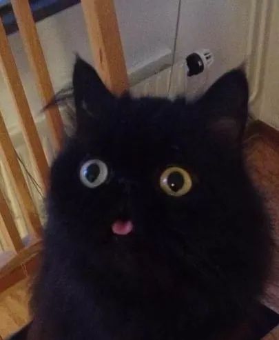thefaultinouraddictions:  Special boi